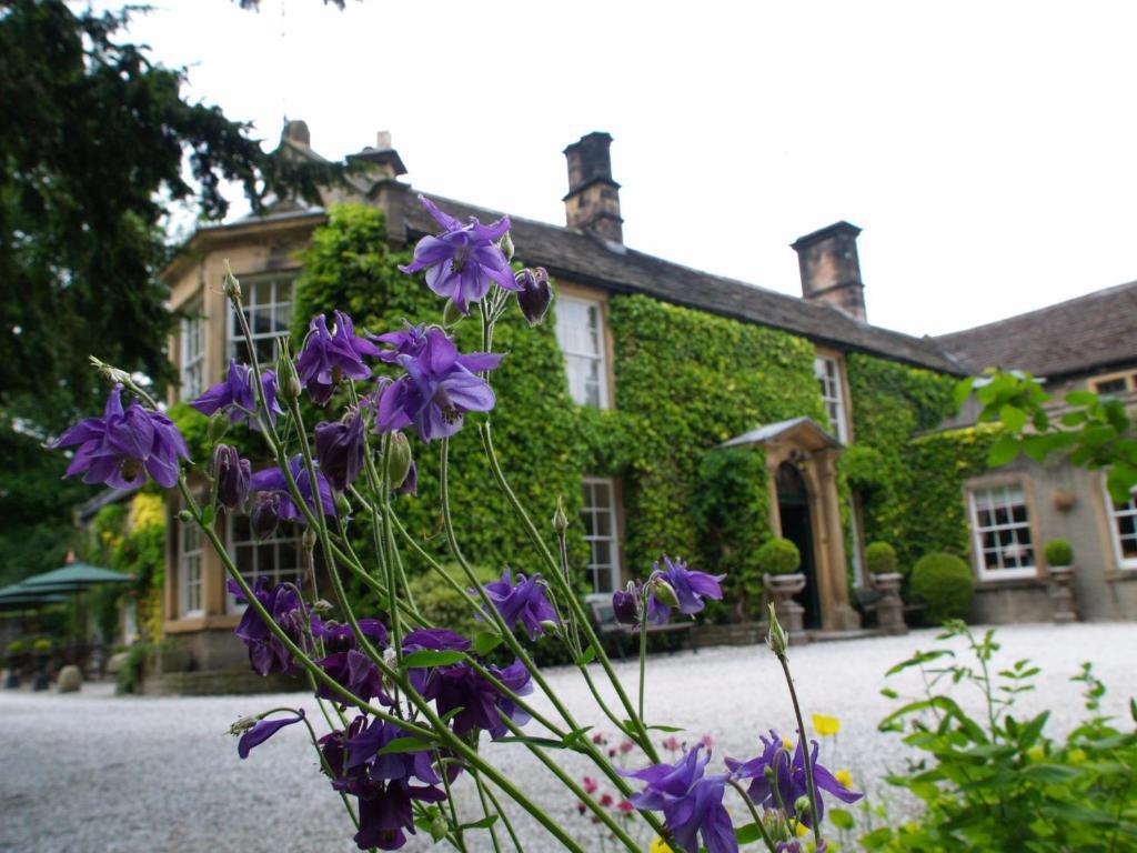 Riverside House Hotel 애쉬본 외부 사진